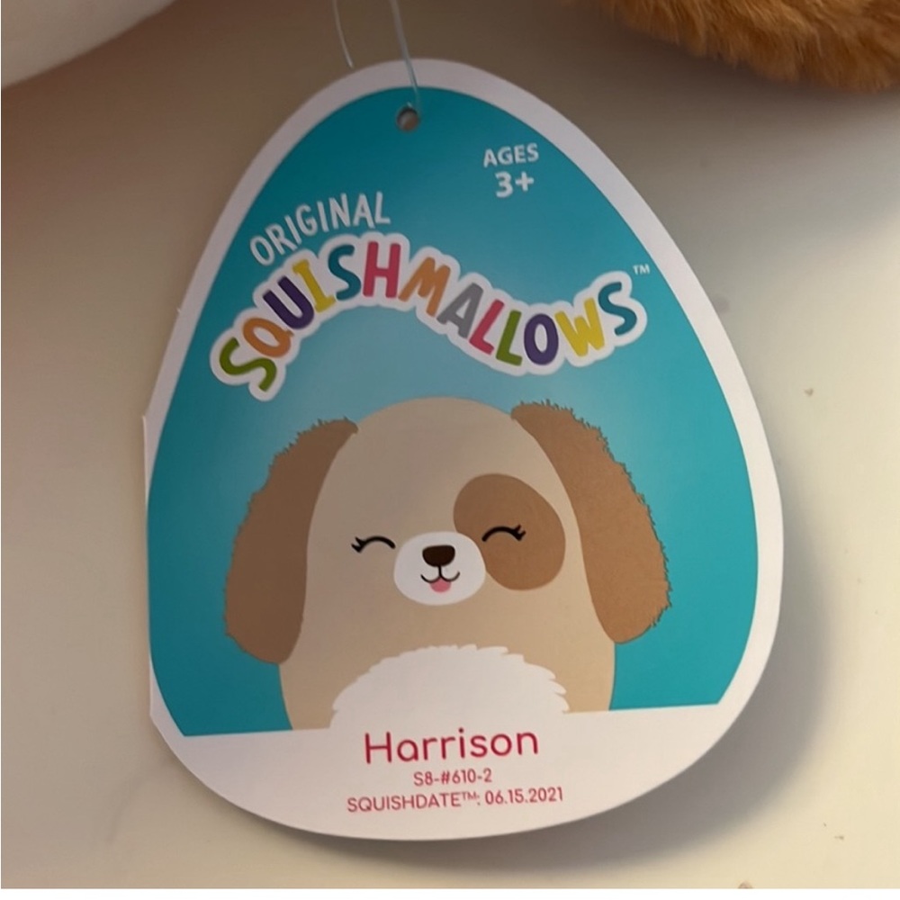 Harrison the dog squishmallow new with tags